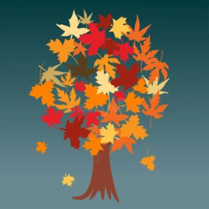hefstboom-300x300 Contact
